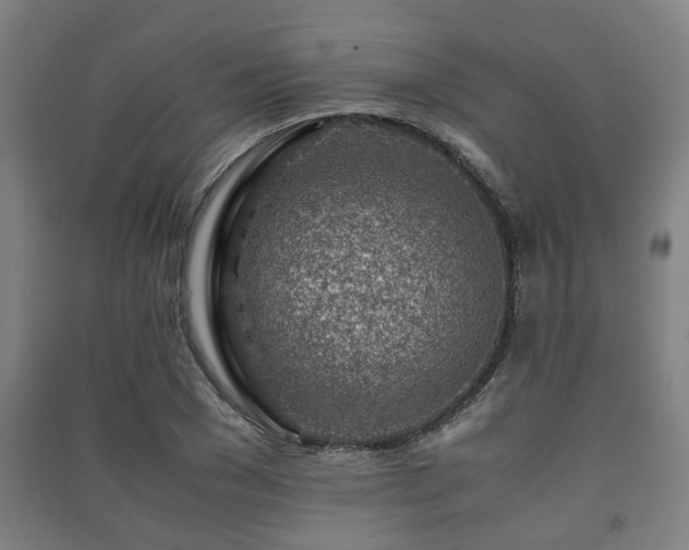 X0000091450977200708161255