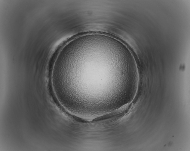 X0000091450979200708161255