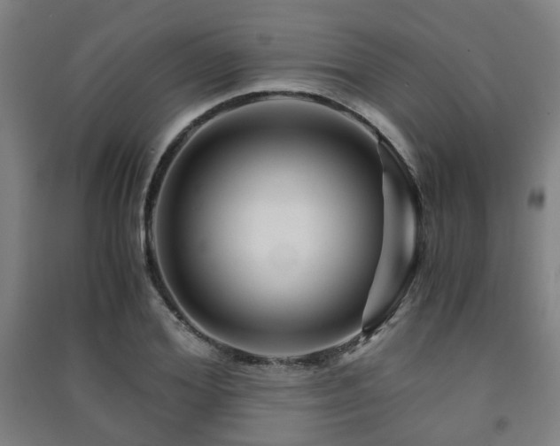 X0000091450980200708161255