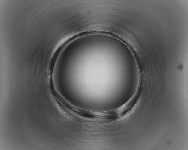 X0000091450981200708161255