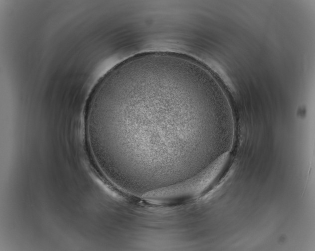 X0000091450982200708161255