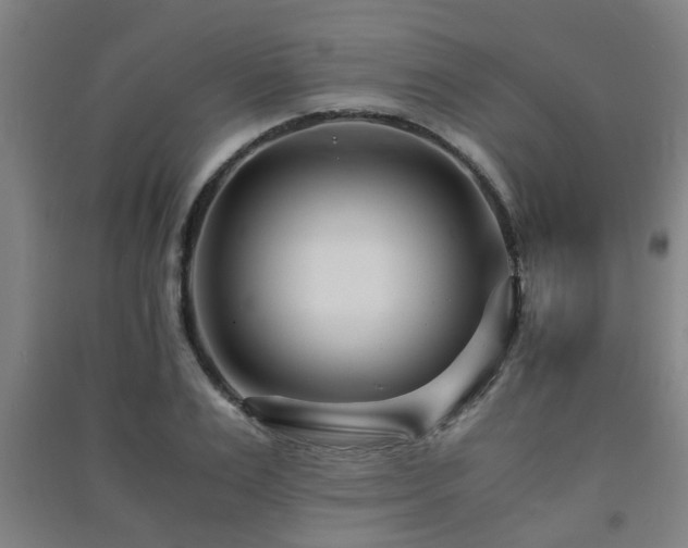 X0000091450983200708161255