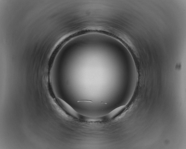 X0000091450984200708161254