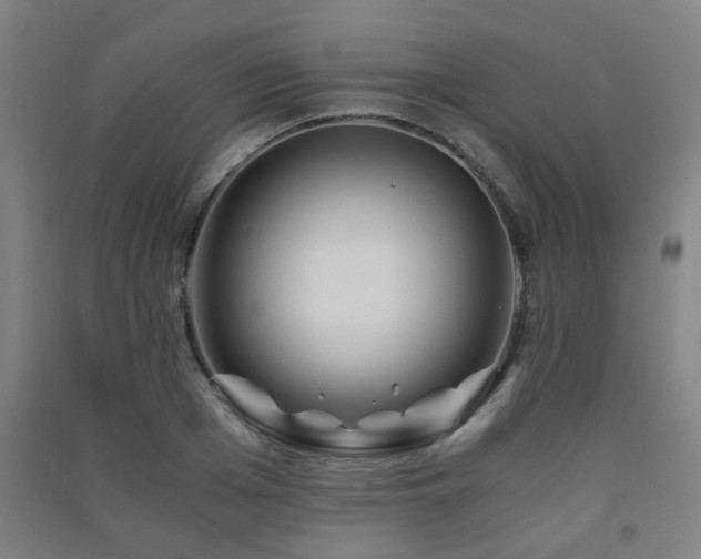 X0000091450985200708161254