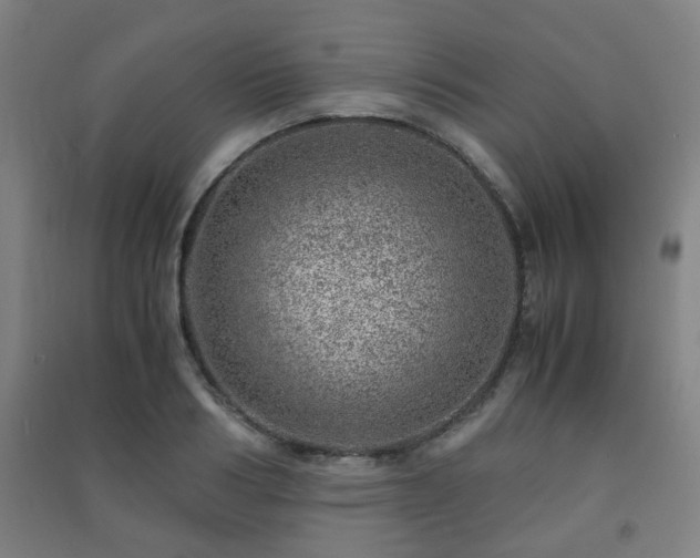 X0000091450986200708161254