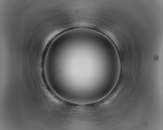 X0000091450987200708161254