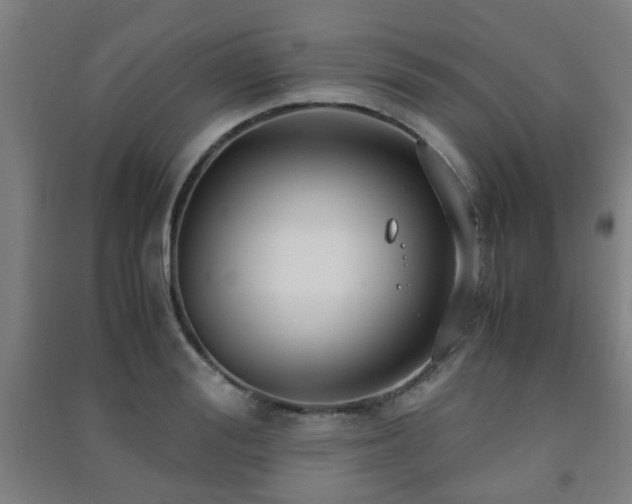 X0000091450988200708161254