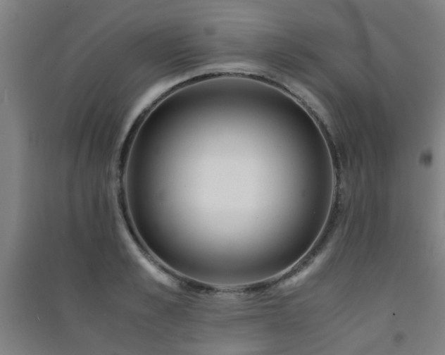 X0000091450989200708161254