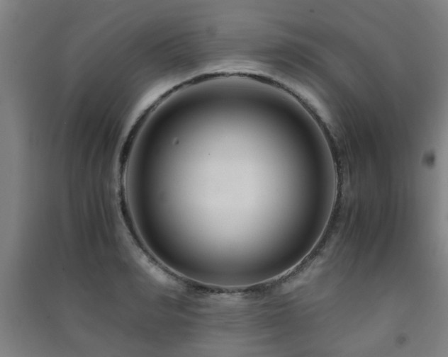 X0000091450990200708161254
