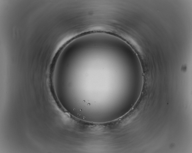 X0000091450991200708161254