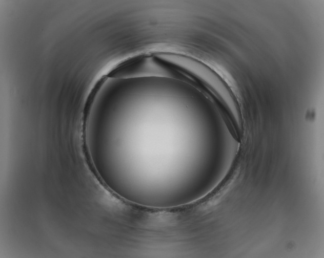 X0000091450992200708161254