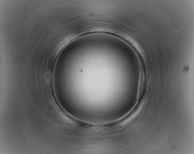 X0000091450993200708161254