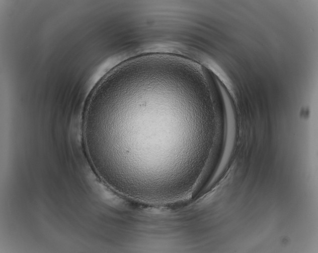 X0000091450994200708161254