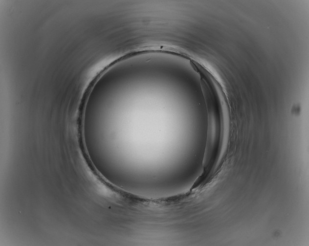 X0000091450995200708161254