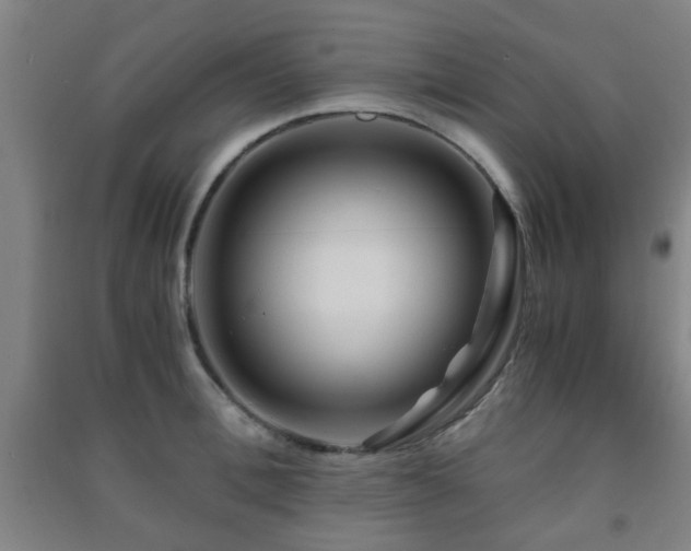 X0000091450996200708161254