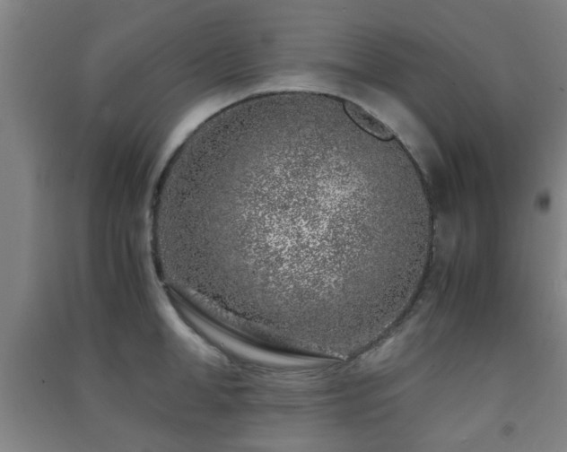 X0000091450998200708161254