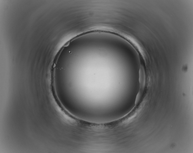 X0000091450999200708161254