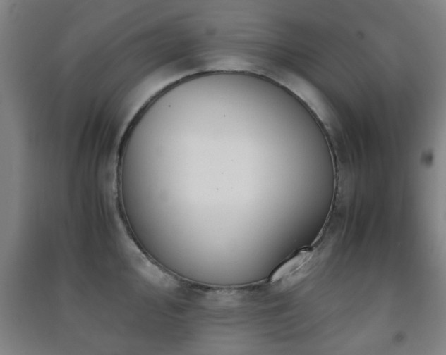 X0000091451000200708161254