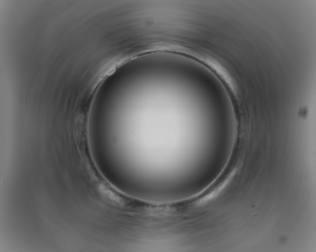 X0000091451001200708161254