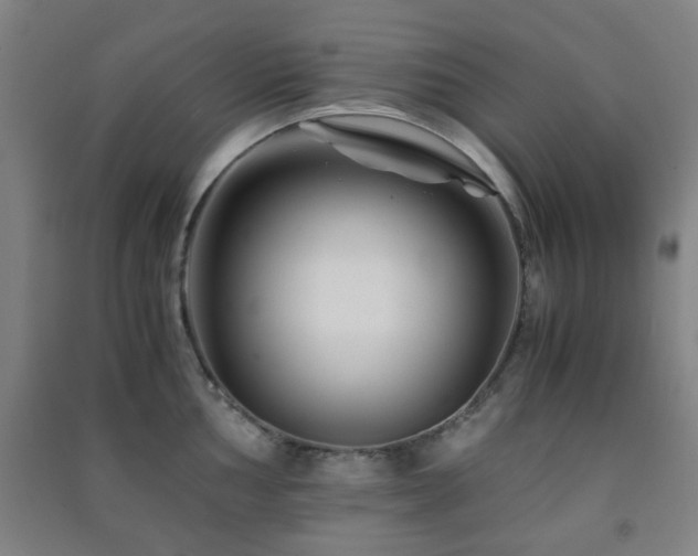 X0000091451002200708161254