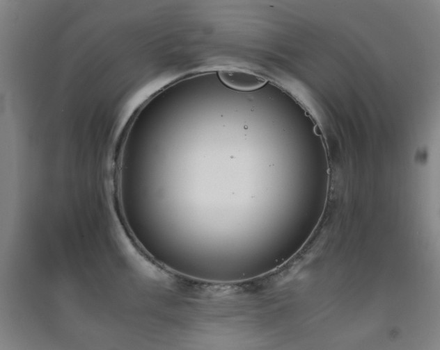 X0000091451003200708161254