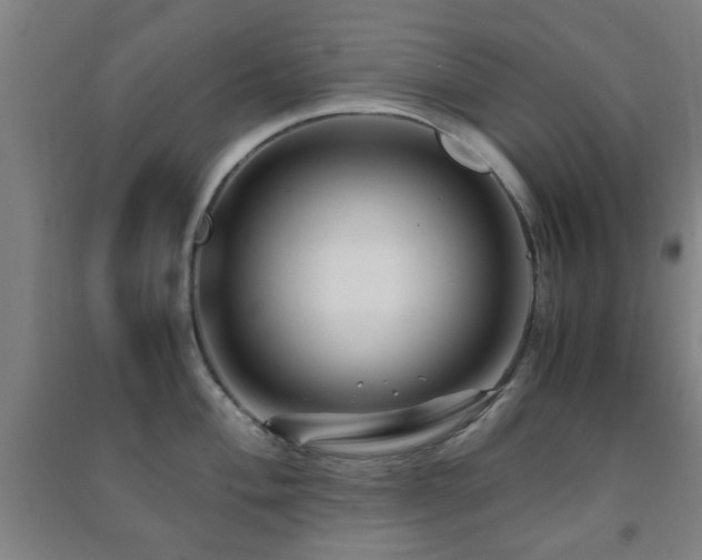 X0000091451004200708161254