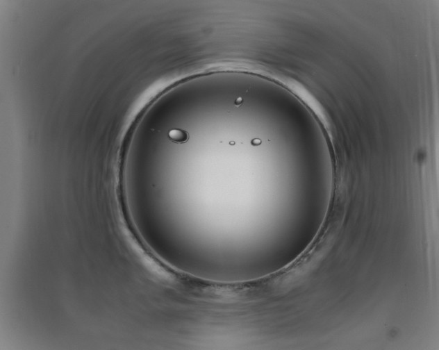 X0000091451005200708161254