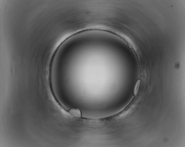 X0000091451007200708161254