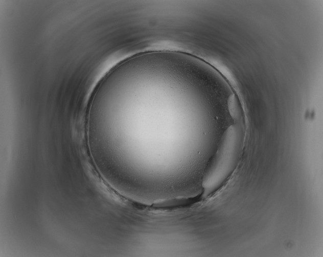 X0000091451008200708161254