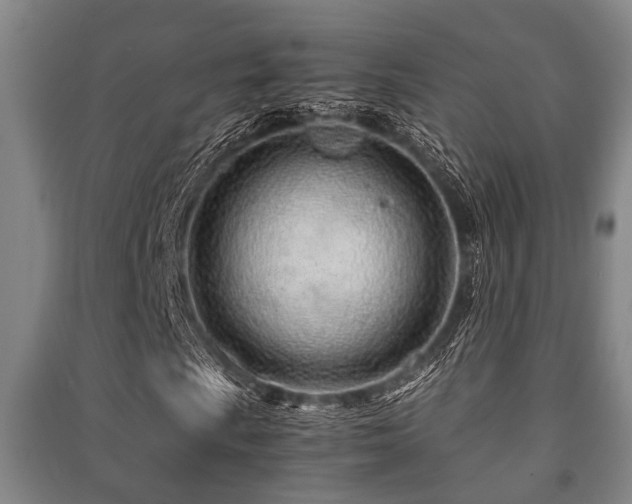 X0000091451009200708161254