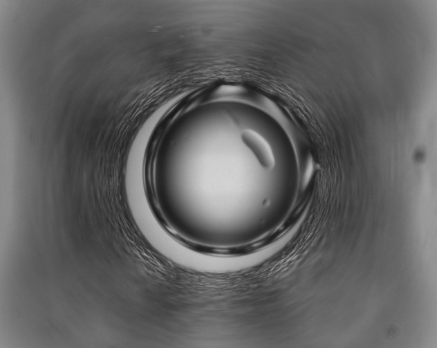 X0000091451010200708161254