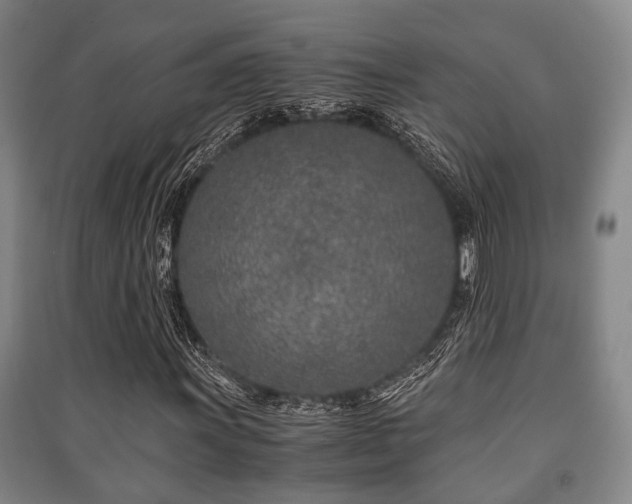X0000091451011200708161254