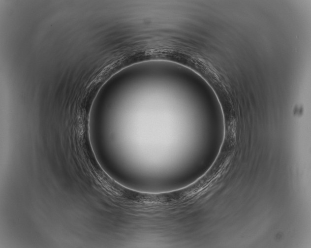 X0000091451012200708161254