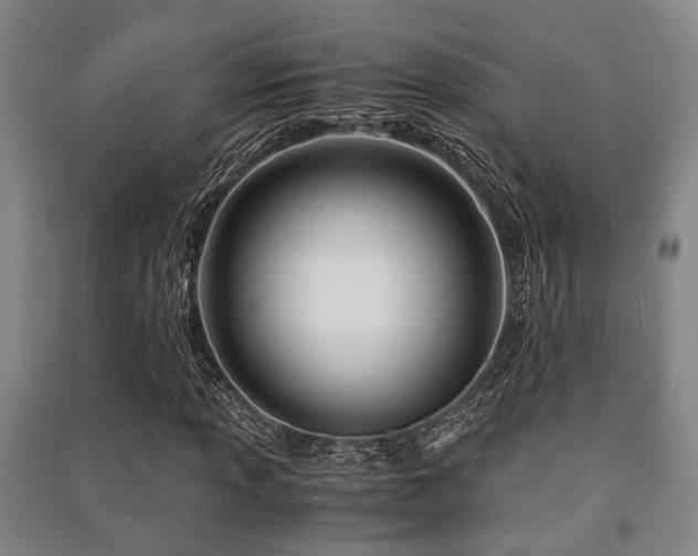 X0000091451013200708161254