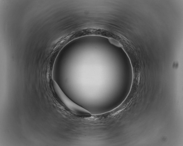 X0000091451014200708161254