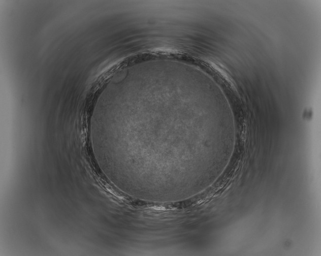 X0000091451015200708161254