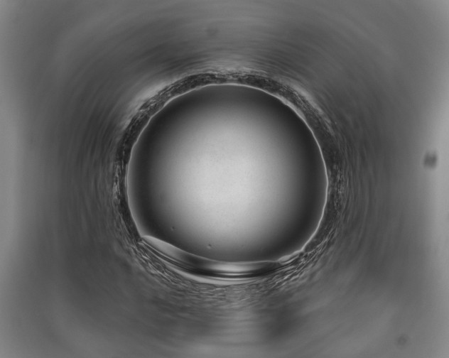 X0000091451016200708161254