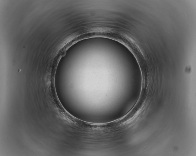 X0000091451017200708161254