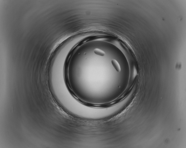 X0000091451018200708161254
