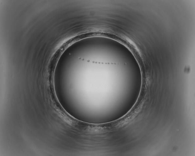 X0000091451019200708161254