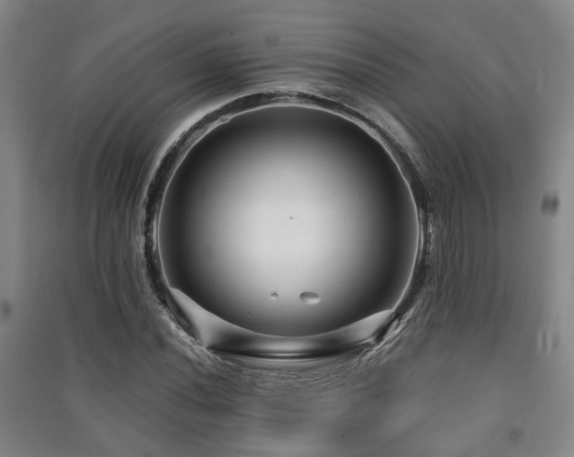 X0000091451020200708161254