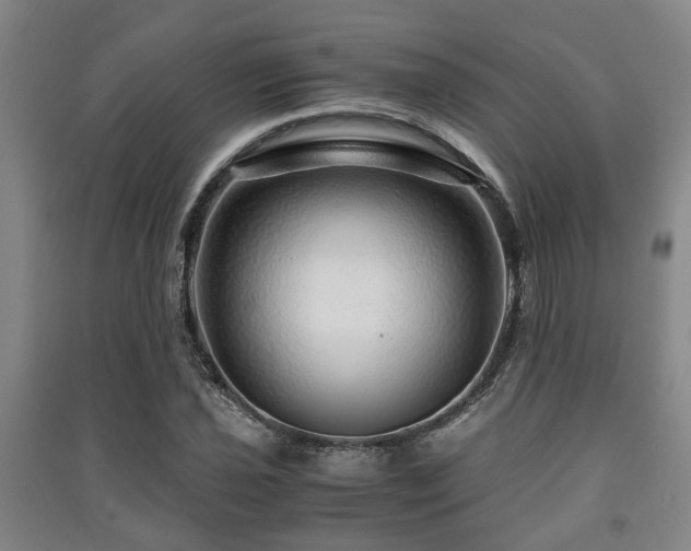X0000091451021200708161254