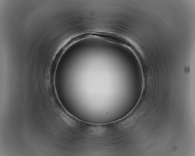 X0000091451023200708161254