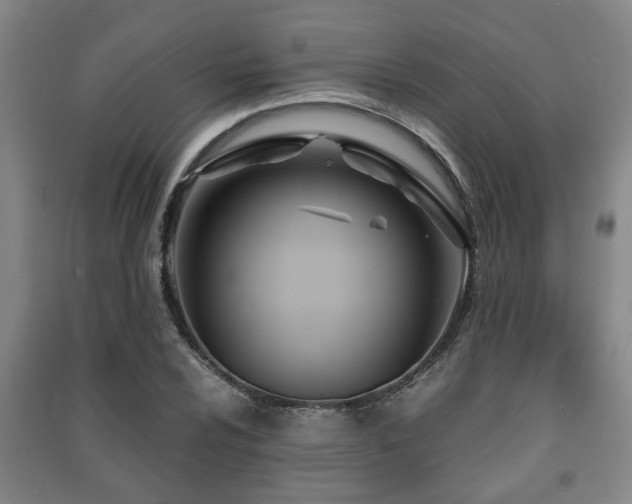 X0000091451024200708161254