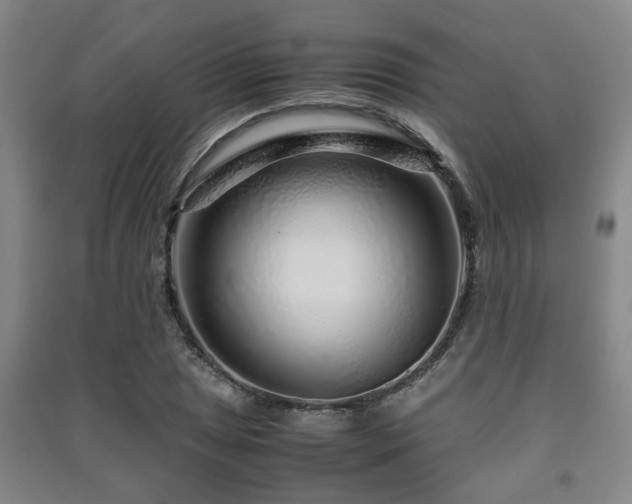 X0000091451025200708161254
