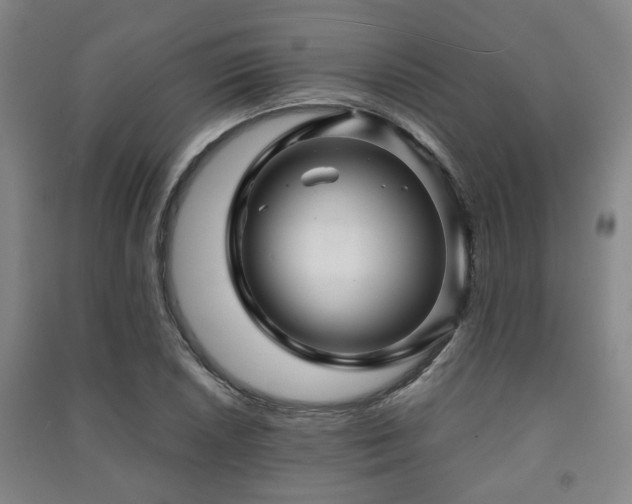 X0000091451026200708161254