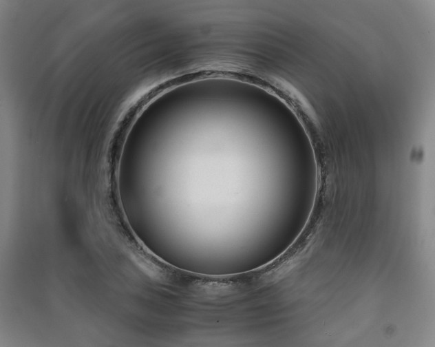 X0000091451027200708161254