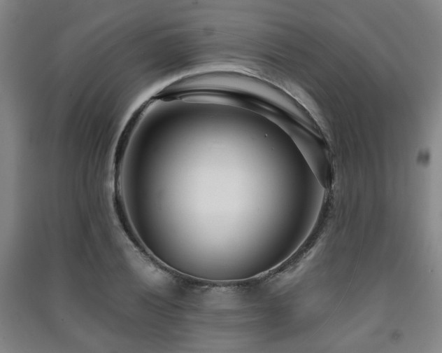 X0000091451028200708161254