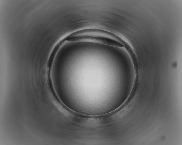 X0000091451029200708161254