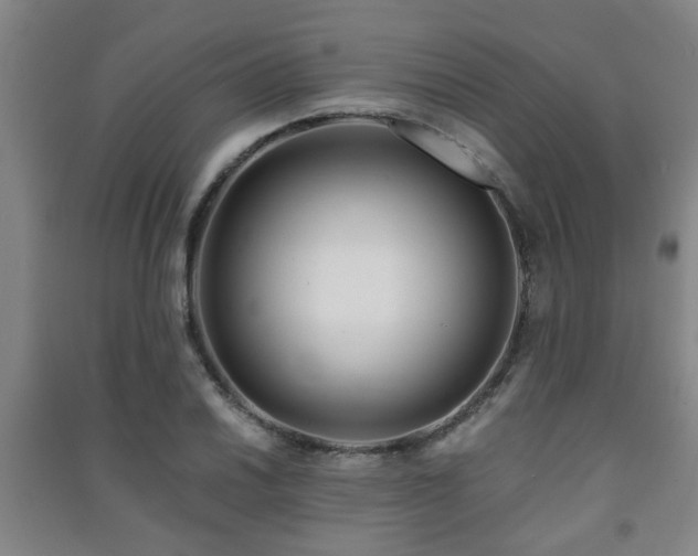 X0000091451030200708161254